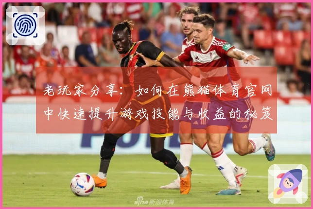 老玩家分享：如何在熊猫体育官网中快速提升游戏技能与收益的秘笈