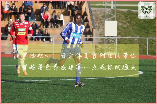 重拾初心：开云体育官网访问带你穿越角色养成迷雾，点亮你的通关之路