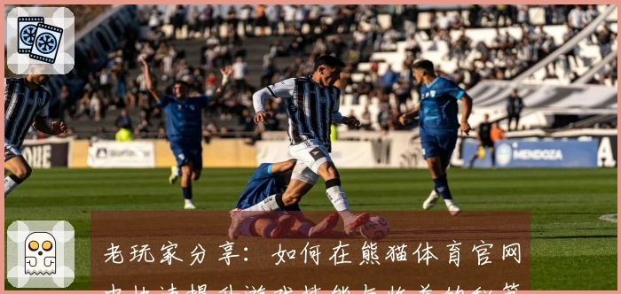 老玩家分享：如何在熊猫体育官网中快速提升游戏技能与收益的秘笈