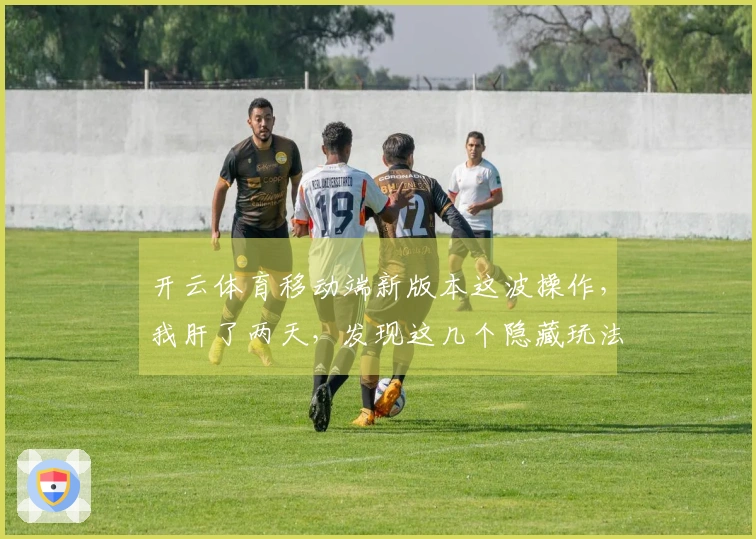 开云体育移动端新版本这波操作，我肝了两天，发现这几个隐藏玩法你绝对得知道！