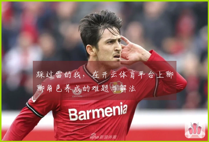 踩过雷的我，在开云体育平台上聊聊角色养成的难题与解法